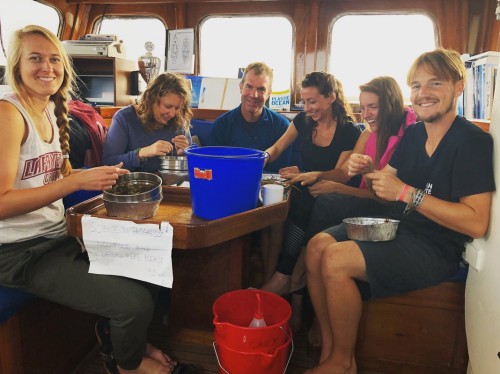 BTOWU Expedition Denmark 2018 analyzing plastic sample